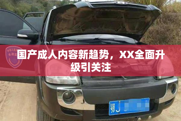 国产成人内容新趋势，XX全面升级引关注