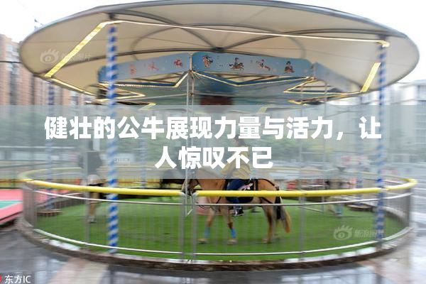 健壮的公牛展现力量与活力，让人惊叹不已