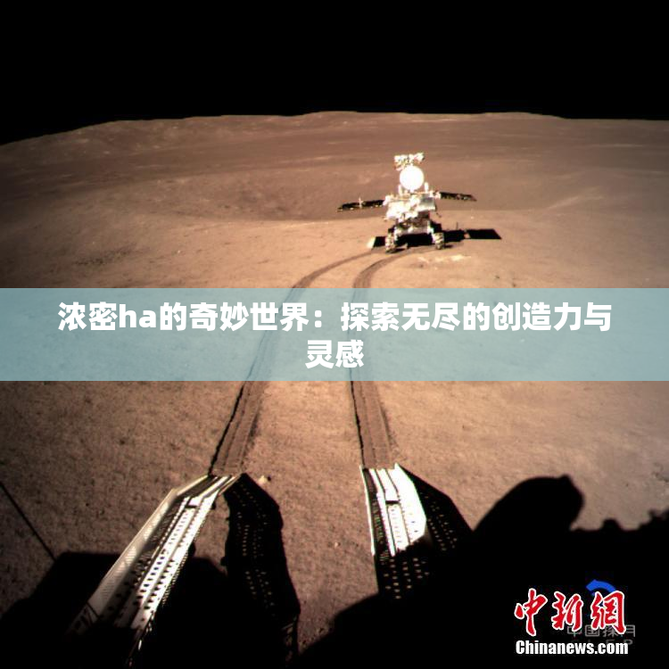 浓密ha的奇妙世界：探索无尽的创造力与灵感