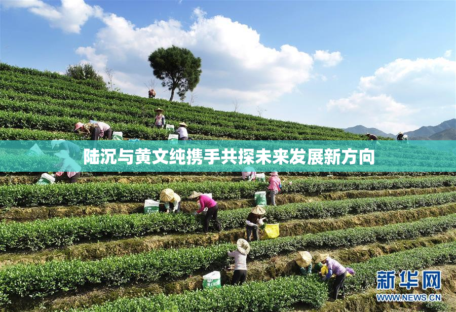 陆沉与黄文纯携手共探未来发展新方向