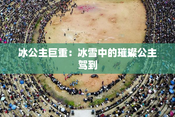 冰公主巨重：冰雪中的璀璨公主驾到