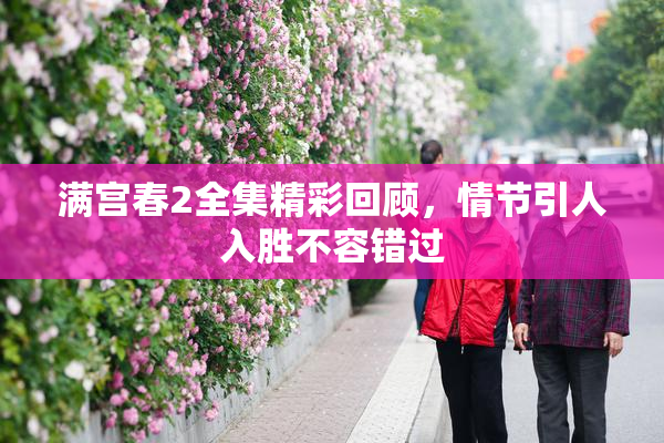 满宫春2全集精彩回顾，情节引人入胜不容错过