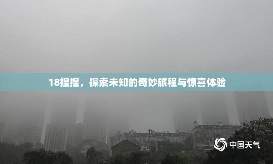 18捏捏，探索未知的奇妙旅程与惊喜体验