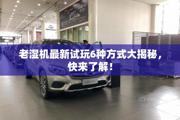 老湿机最新试玩6种方式大揭秘，快来了解！