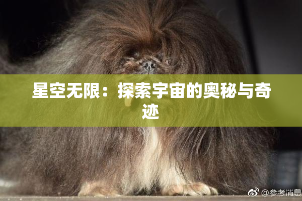 星空无限：探索宇宙的奥秘与奇迹