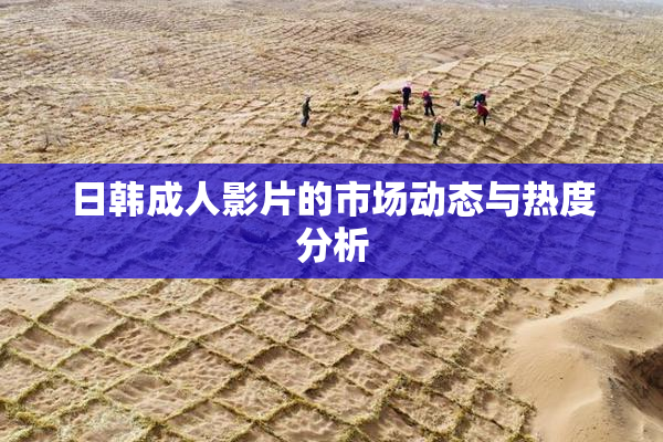 日韩成人影片的市场动态与热度分析