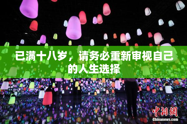 已满十八岁，请务必重新审视自己的人生选择