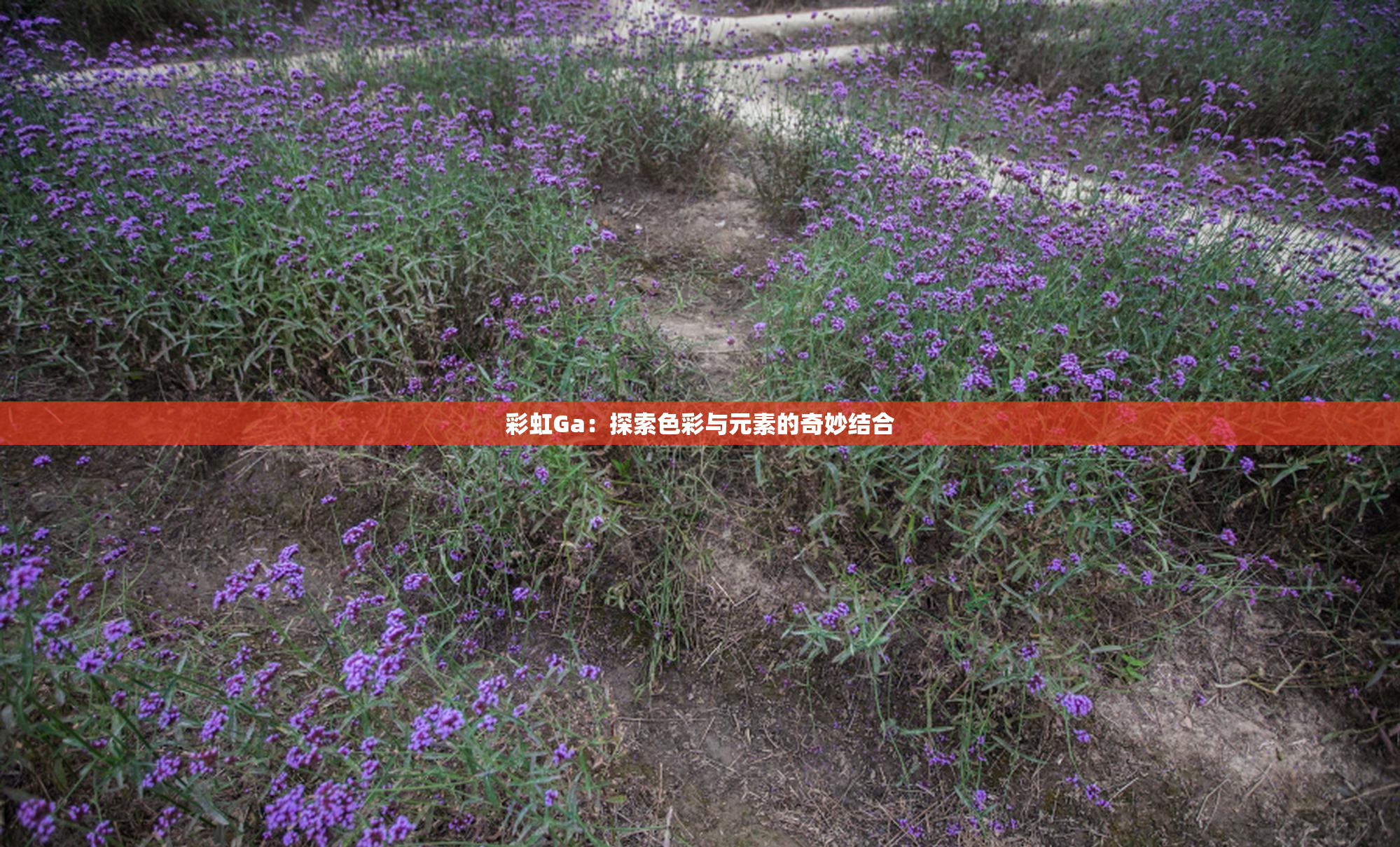 彩虹Ga：探索色彩与元素的奇妙结合
