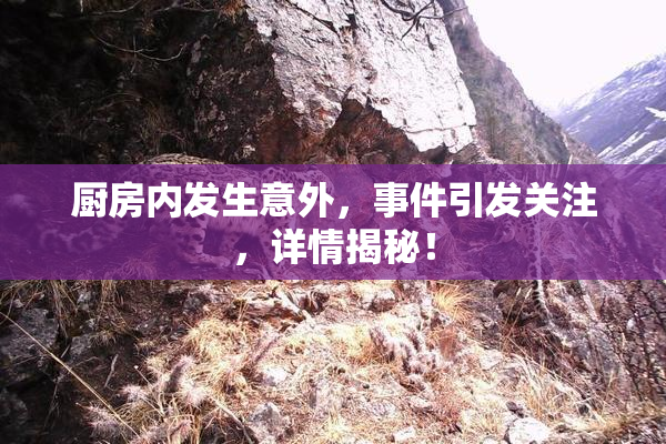 厨房内发生意外，事件引发关注，详情揭秘！