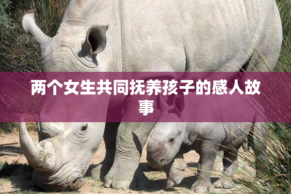 两个女生共同抚养孩子的感人故事
