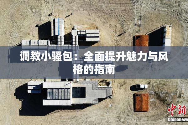 调教小骚包：全面提升魅力与风格的指南