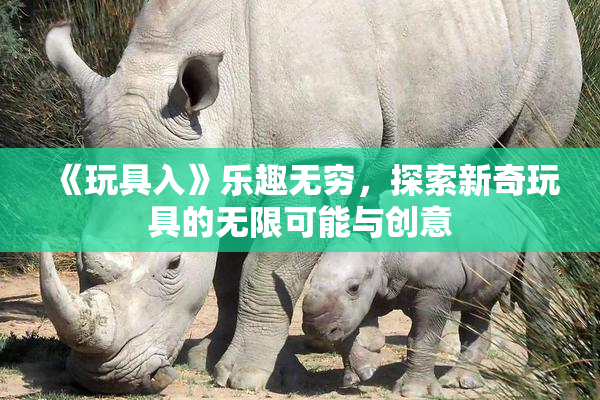 《玩具入》乐趣无穷，探索新奇玩具的无限可能与创意