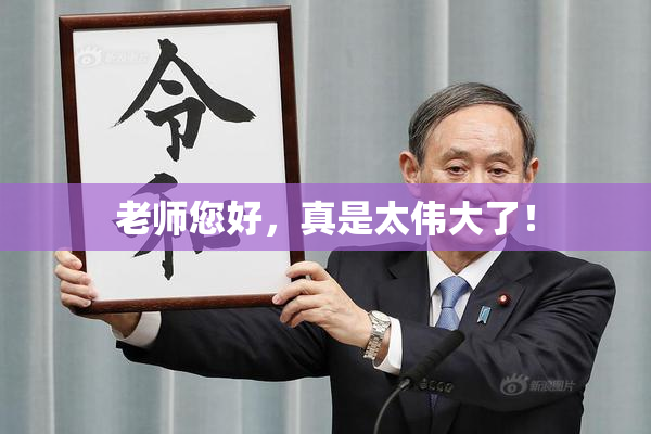 老师您好，真是太伟大了！