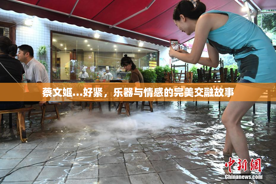 蔡文姬…好紧，乐器与情感的完美交融故事
