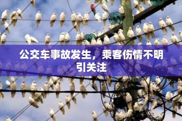 公交车事故发生，乘客伤情不明引关注