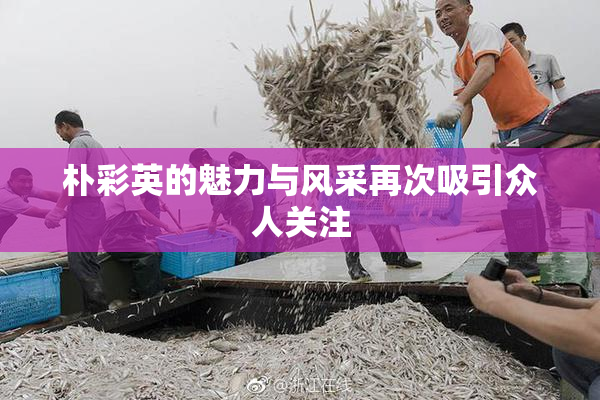 朴彩英的魅力与风采再次吸引众人关注