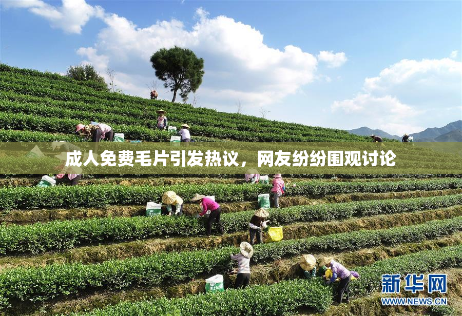 成人免费毛片引发热议，网友纷纷围观讨论