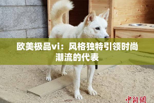 欧美极品vi：风格独特引领时尚潮流的代表