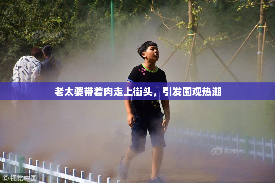 老太婆带着肉走上街头，引发围观热潮
