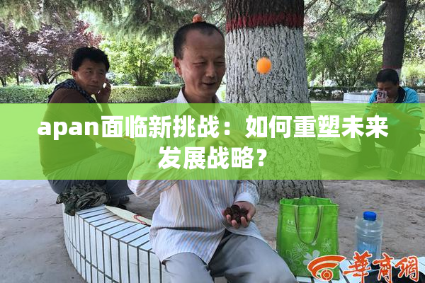 apan面临新挑战：如何重塑未来发展战略？