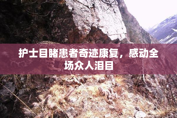 护士目睹患者奇迹康复，感动全场众人泪目