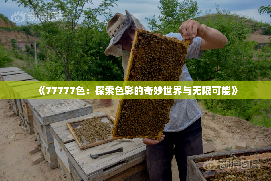 《77777色：探索色彩的奇妙世界与无限可能》