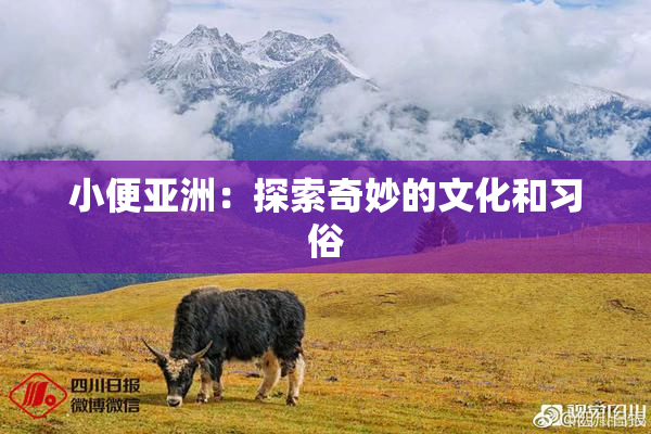 小便亚洲：探索奇妙的文化和习俗