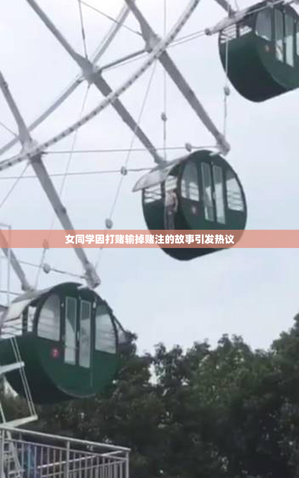 女同学因打赌输掉赌注的故事引发热议