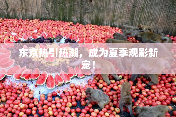 东京热引热潮，成为夏季观影新宠！