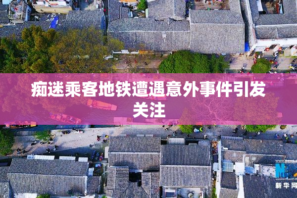 痴迷乘客地铁遭遇意外事件引发关注