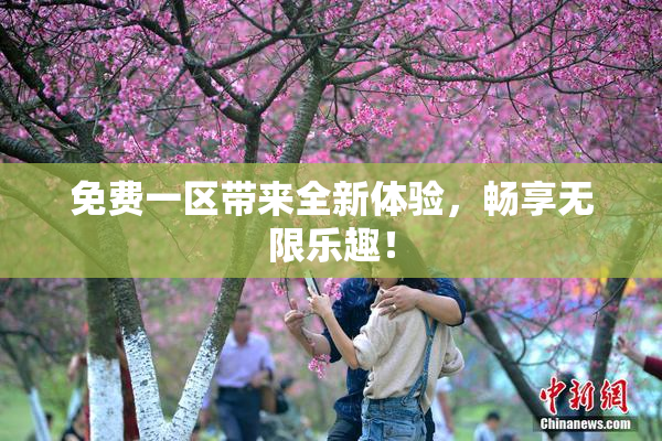 免费一区带来全新体验，畅享无限乐趣！