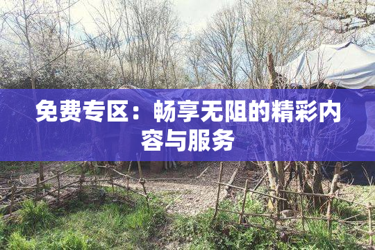 免费专区：畅享无阻的精彩内容与服务