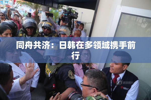 同舟共济：日韩在多领域携手前行