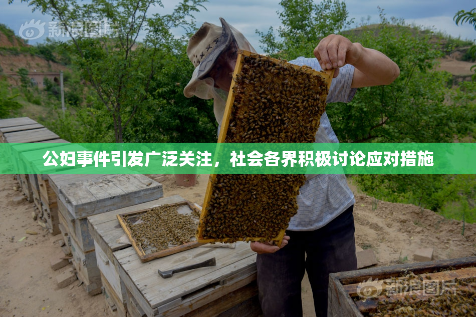 公妇事件引发广泛关注，社会各界积极讨论应对措施