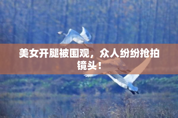美女开腿被围观，众人纷纷抢拍镜头！
