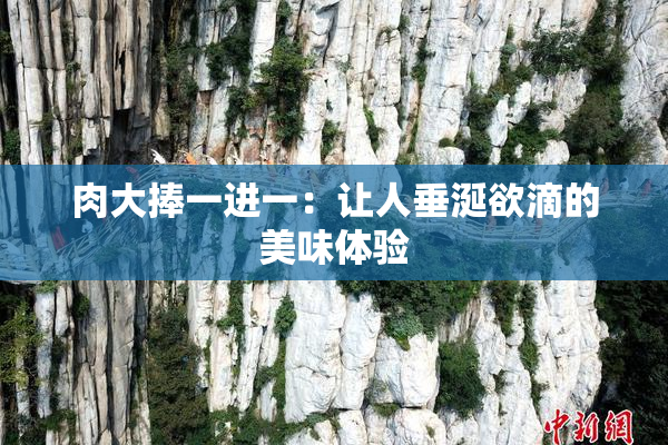 肉大捧一进一：让人垂涎欲滴的美味体验