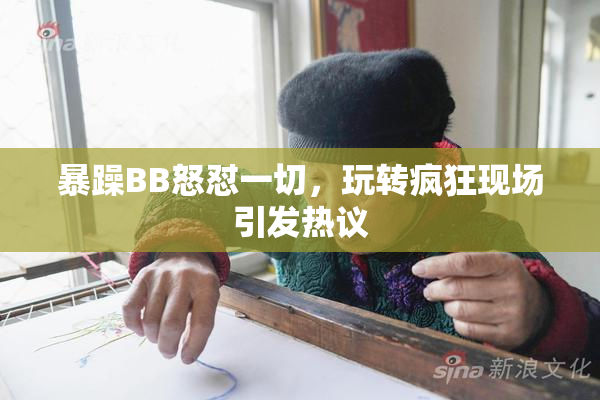 暴躁BB怒怼一切，玩转疯狂现场引发热议