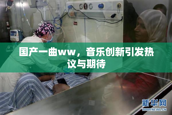 国产一曲ww，音乐创新引发热议与期待