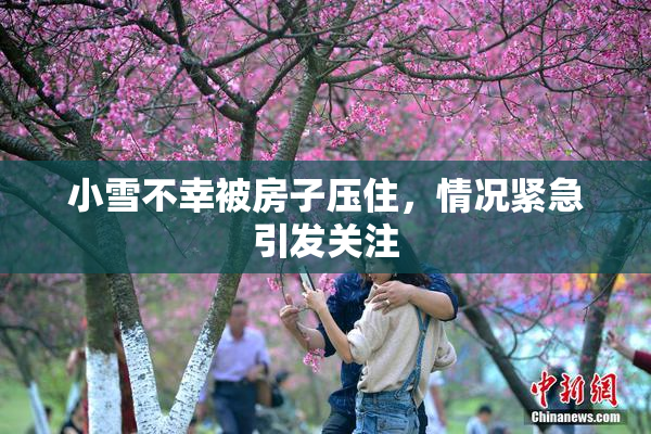 小雪不幸被房子压住，情况紧急引发关注