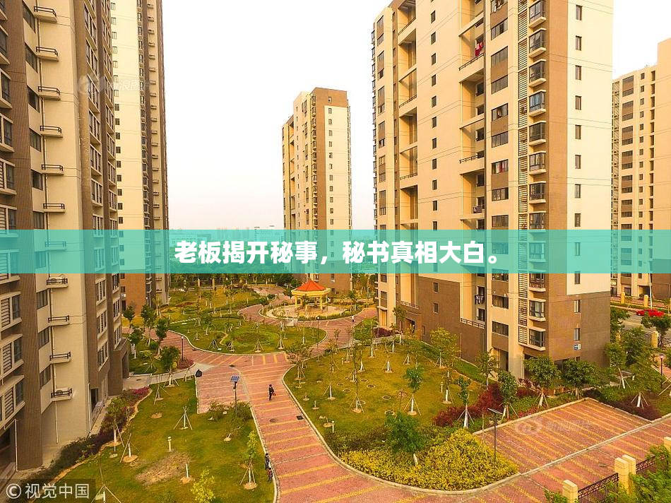 老板揭开秘事，秘书真相大白。