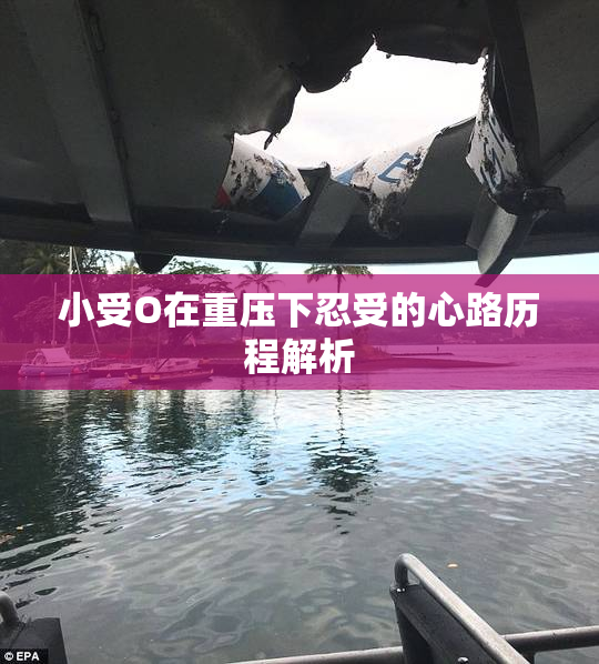 小受O在重压下忍受的心路历程解析