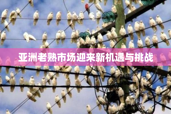 亚洲老熟市场迎来新机遇与挑战