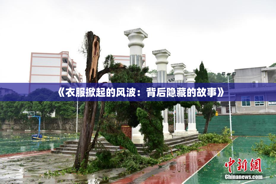 《衣服掀起的风波：背后隐藏的故事》