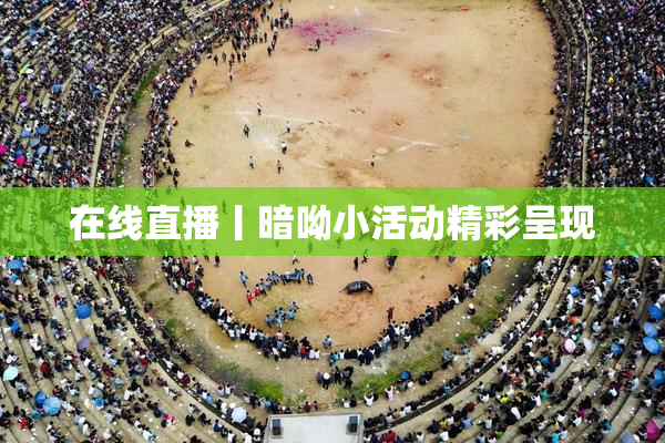 在线直播丨暗呦小活动精彩呈现