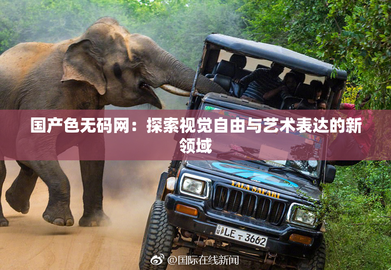 国产色无码网：探索视觉自由与艺术表达的新领域