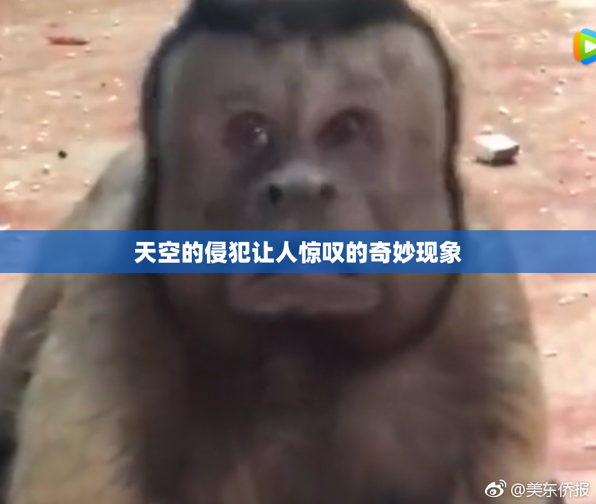 天空的侵犯让人惊叹的奇妙现象