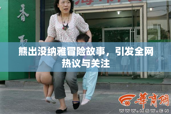 熊出没纳雅冒险故事，引发全网热议与关注