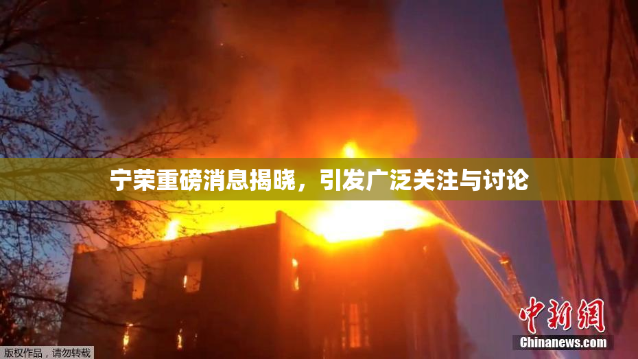 宁荣重磅消息揭晓，引发广泛关注与讨论