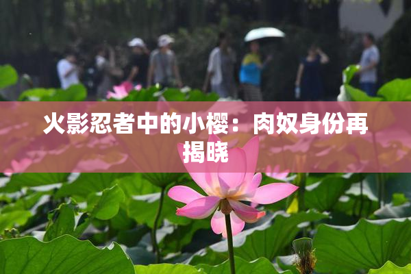 火影忍者中的小樱：肉奴身份再揭晓