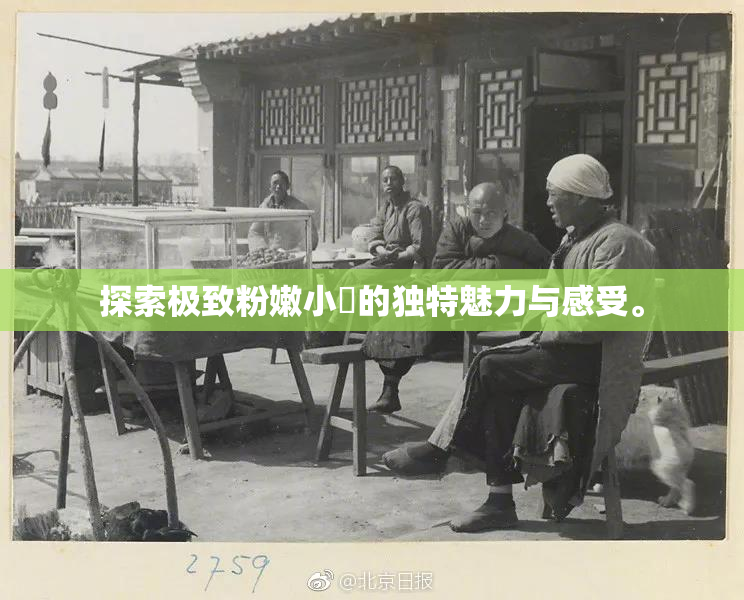 探索极致粉嫩小泬的独特魅力与感受。